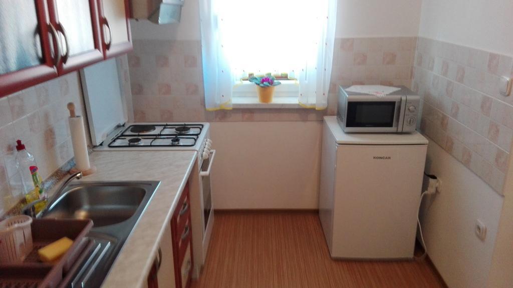 Apartment Gebic Ivan ツリクヴェニツァ エクステリア 写真